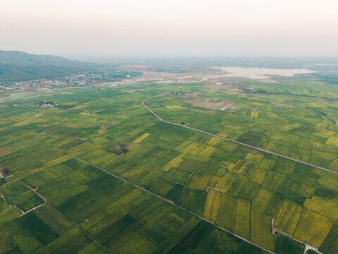 Aerial view of vast green agricultural fields with a distant cityscape on the horizon.