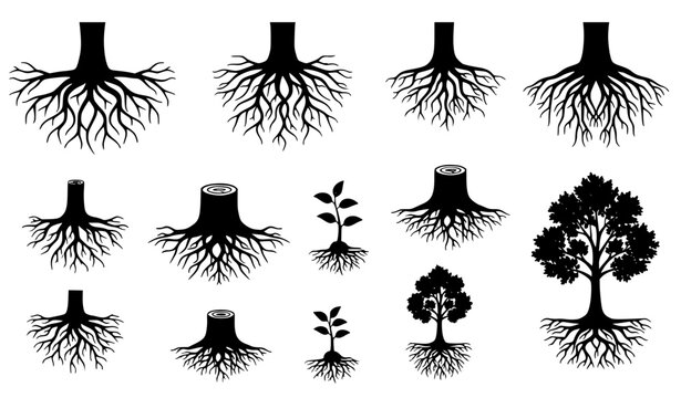 Tree roots silhouette vector set with stumps saplings and growth foundation illustrations