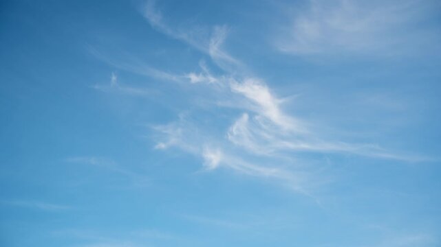 Swallows glide and catch midges in the blue summer afternoon sky.