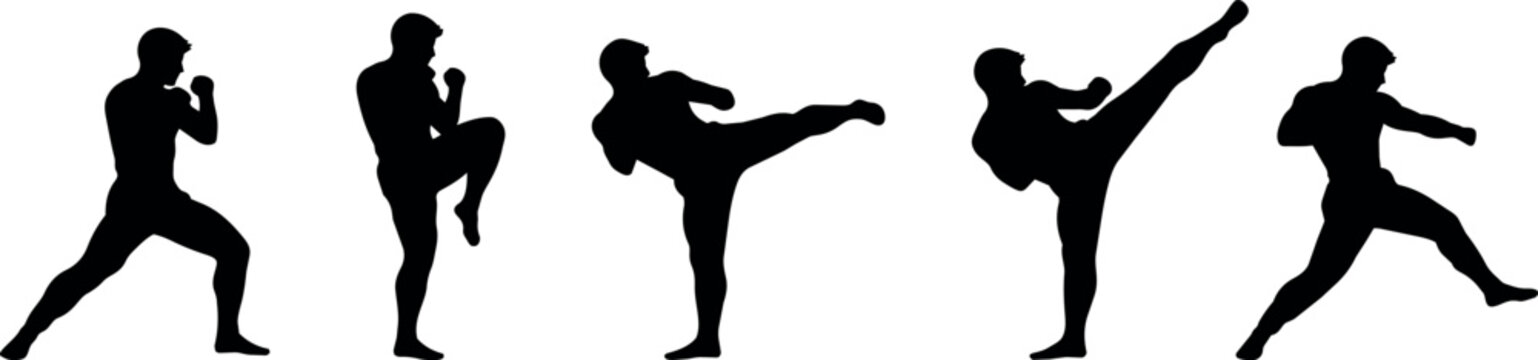 Martial arts silhouettes showing dynamic kicking and punching combat moves