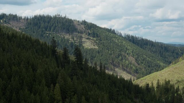 Panoramic view of deforestation and clear-cut areas on mountain slopes in Tatra National Park, Poland. Mixed evergreen forest and logged patches in a deep valley under a cloudy sky.