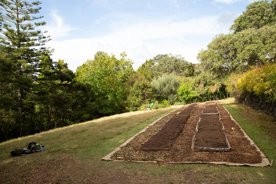 A lush garden with freshly mulched beds on a gentle grassy slope, surrounded by trees.