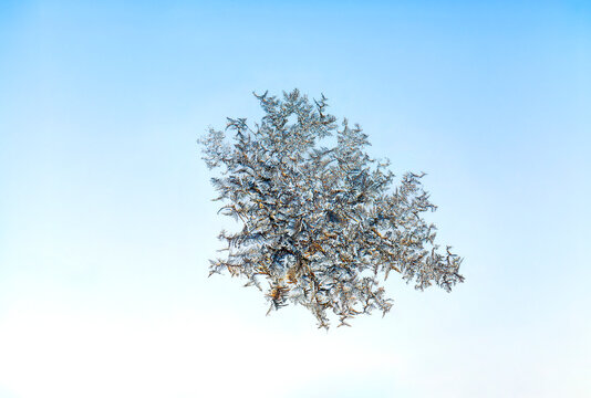 Frosty ice crystal cluster against a clear blue sky background. Canada