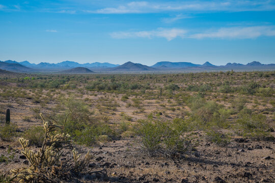 Expansive desert landscape with scattered shrubs and distant mountain range under a blue sky. Tonopha, Arizona, USA
