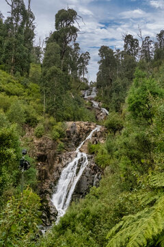 Steavenson Falls Marysville, Victoria