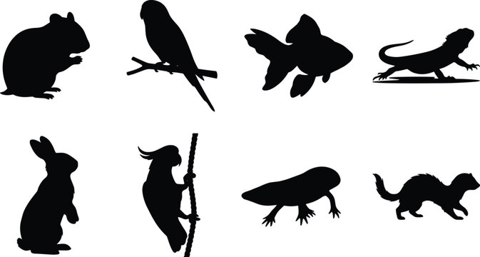 Silhouette Icons of Common Pets and Small Animals Including Bird, Fish, Rabbit, Lizard, and Rodent