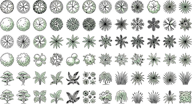 Set of hand drawn trees and shrubs for landscape design, top view and side view, isolated on white background