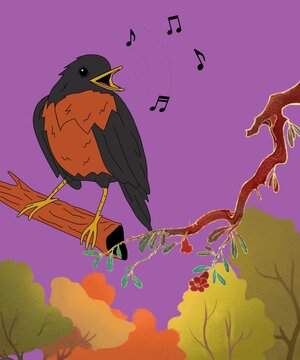 raven on the tree