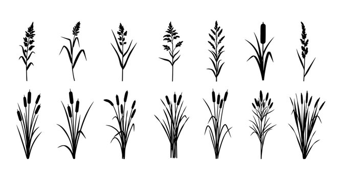 Black silhouettes of various cattail plants.