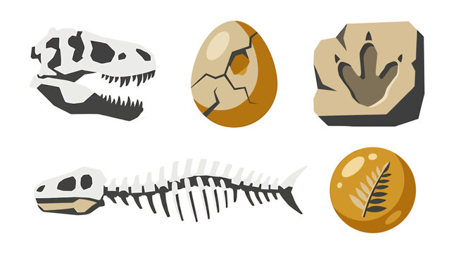 Dinosaur Fossil Bones And Eggs Illustration.