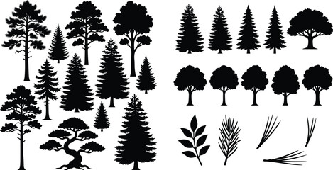 Coniferous and deciduous forest tree silhouettes set with pine branches and foliage vector elements © MDMizanur