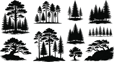 Pine and fir forest tree silhouettes set coniferous evergreen wood graphic elements vector illustration © MDMizanur