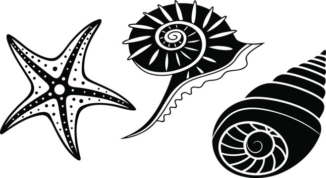 Black silhouettes of a starfish nautilus shell and conch shell against a white background