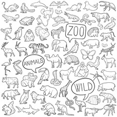 Obraz premium Zoo Animals Vector Illustration Hand Drawn Collection Nature Icon Doodle Set