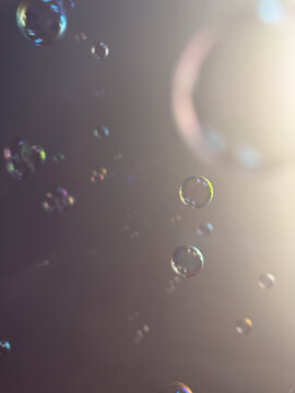 Iridescent soap bubbles floating in soft abstract light