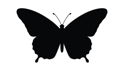 Black Butterfly Silhouette Against A White Background Silhouette © Hiron