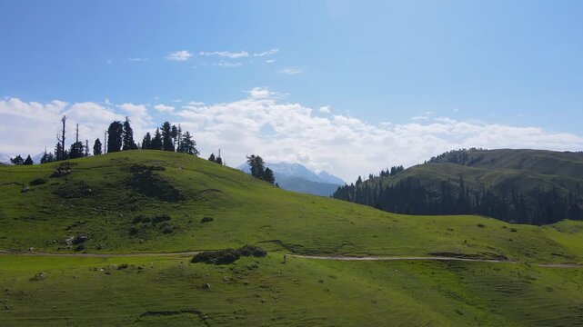 Aerial view of Siri Paye meadows featuring lush green rolling hills, scattered pine trees, and distant mountain peaks under a clear blue sky in Kiwai, Khyber Pakhtunkhwa, Pakistan.