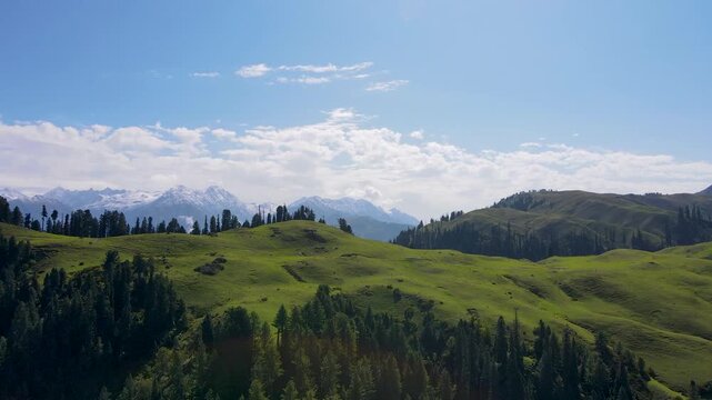 Aerial view of the lush green Siri Paye Meadows surrounded by dense pine forests and snow-capped mountain peaks under a blue sky in Kiwai, Khyber Pakhtunkhwa, Pakistan.