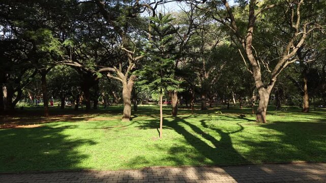 bengaluru, bangalore, karnataka, India, Indian, bangalore city famous central park. Sri Chamarajendra Park  Cubbon Park.