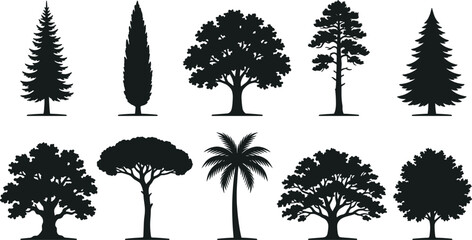 Set of Diverse Tree Silhouettes Featuring Various Species for Nature Design Projects and Forest Landscape Graphic Illustration © Abida