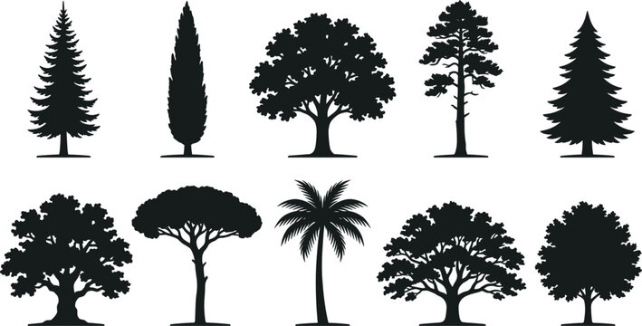 Set of Diverse Tree Silhouettes Featuring Various Species for Nature Design Projects and Forest Landscape Graphic Illustration