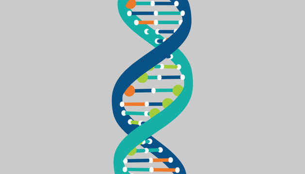 Abstract colorful DNA double helix model showing genetic codes and biology structure against a plain grey background.