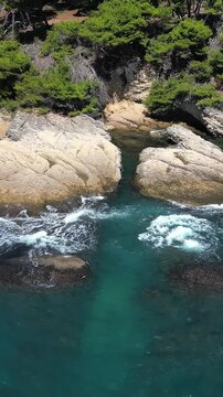 Top-down aerial view of the rocky coast with green pine trees and the turquoise adriatic sea in ulcinj, montenegro