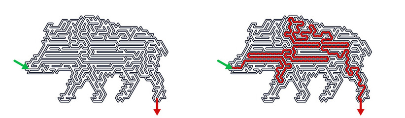 Maze design featuring a boar with solution path outlined in red  
