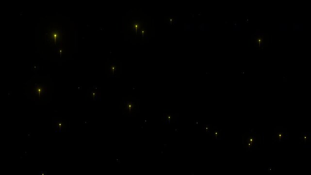 Animated Twinkling Gold Star Particles and Fireflies on Black Background