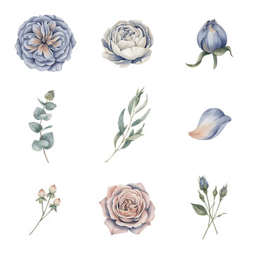 Flower buds and delicate leaves are presented as individual components to allow for versatile usage in custom floral compositions.