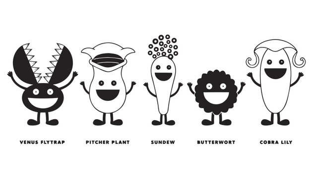 Very beautiful black-and-white cartoon character set featuring Venus Flytrap, Pitcher Plant, Sundew, Butterwort, and Cobra Lily with charming smiles, detailed linework, playful botanical expressions, 