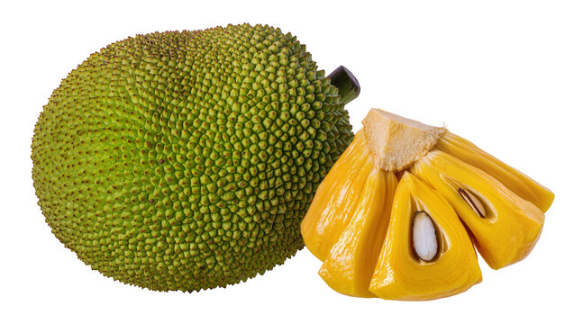 Whole green jackfruit and cut yellow fleshy bulbs with seeds