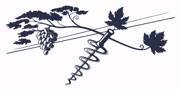 Wine production concept featuring a grapevine bunch and a corkscrew enology and viticulture vector illustration corkscrew viticulture illustration
