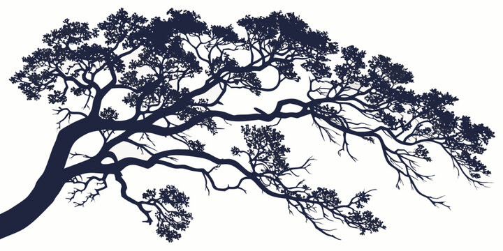 Dense tree branch silhouette spreading outward with foliage silhouette botanical isolated background landscape illustration environment