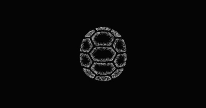 Sketch turtle shell icon animation - smooth progressive reveal
