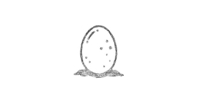 Sketch turtle egg icon animation - smooth progressive reveal
