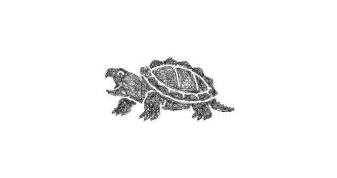 Sketch snapping turtle icon animation - smooth progressive reveal