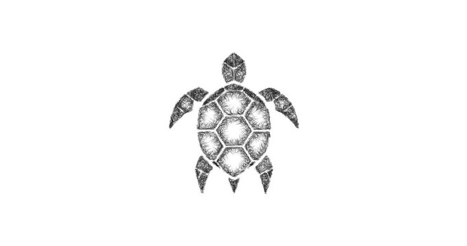 Sketch geometric turtle icon animation - smooth progressive reveal