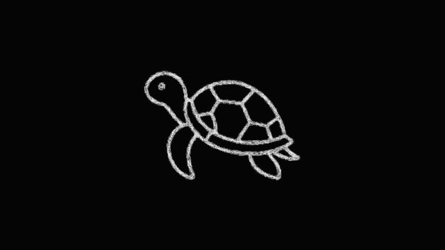 Sketch turtle line art icon animation - smooth progressive reveal