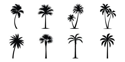 Palm Tree Silhouettes Featuring Detailed Tree and Root Shapes Isolated for Tropical Nature, Landscape, and Botanical Design ©  