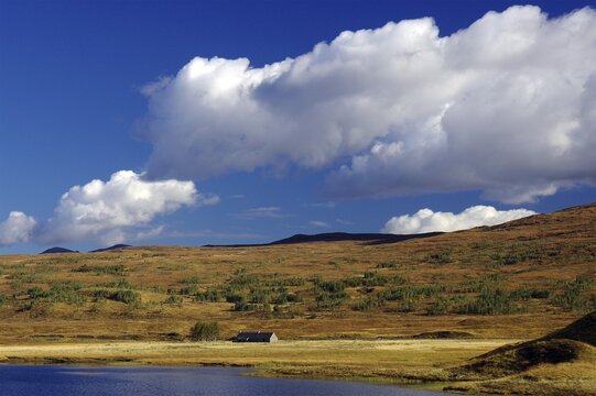 Gentle hills and wide grassland under a clear blue sky with white clouds, autumn, October, Highlands, railway line Inverness to Kyle of Lochals, Scotland, Great Britain