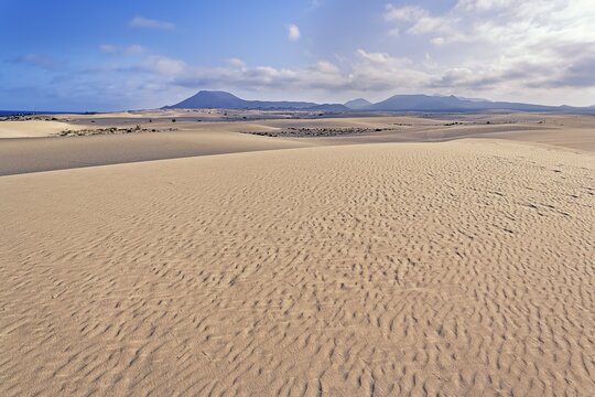 Sand dunes, Corralejo Natural Park, Fuerteventura, Canary Islands, Spain