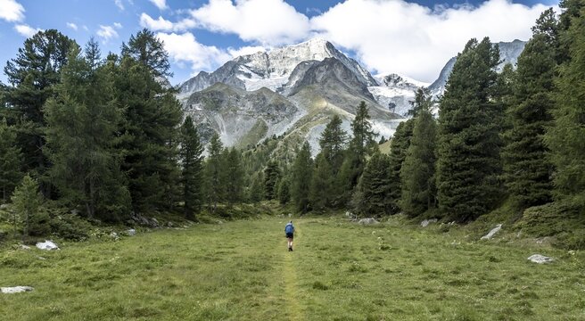 Mountaineer on a hiking trail between trees, mountain landscape near Arolla, in the background mountain peak Mont Blanc de Cheilon and glacier Glacier de Tsijore Nouve, Valais, Western Alps, Switzerland