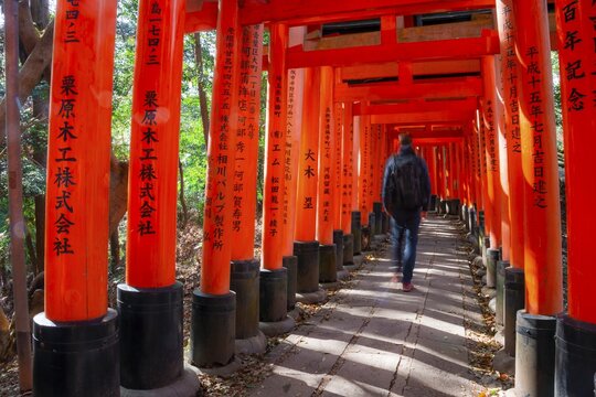 Visitors on a journey through hundreds of red traditional torii gates, Fushimi Inari-taisha, Shinto shrine, long exposure, motion blur, Fushimi Inari-taisha Okusha Hohaisho, Kyoto, Japan