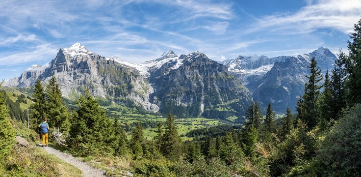 Hikers on the hiking trail to Bachalpsee, behind snow-covered Wetterhorn, Schreckhorn and Eiger, Grindelwald, Bern, Switzerland