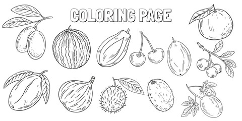 Fototapeta premium Hand-drawn coloring page featuring a variety of fruits in black and white outline. Hand-drawn coloring page featuring a variety of fruits in black and white outline