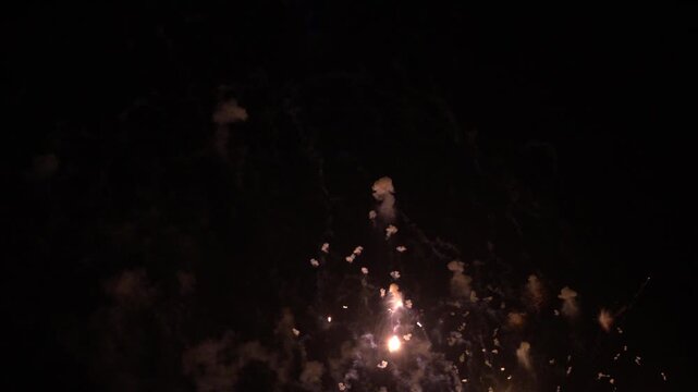 Golden fireworks exploding in the dark night sky