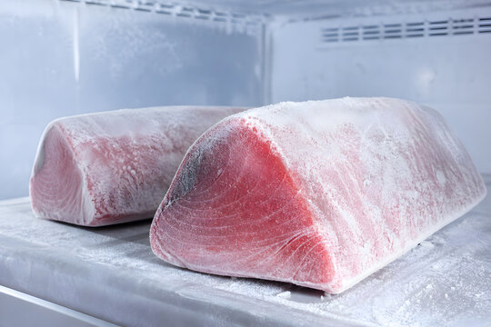 Frosted bluefin tuna loins in ultra cold freezer