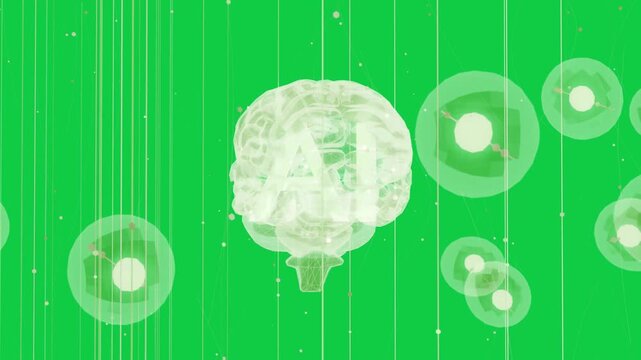 Lines pulsing causing green brain moving right turning, nodes pulsing, showing net transparent bg