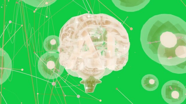 3D brain rotating after node pulse, forming network lines tracing data on transparent background